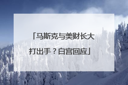马斯克与美财长大打出手？白宫回应
