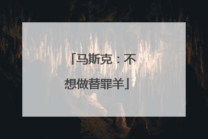 马斯克：不想做替罪羊