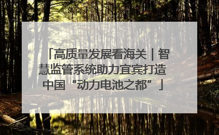 高质量发展看海关｜智慧监管系统助力宜宾打造中国“动力电池之都”
