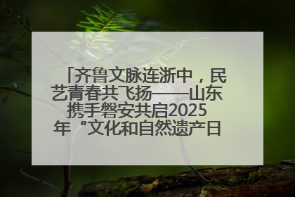 齐鲁文脉连浙中，民艺青春共飞扬——山东携手磐安共启2025年“文化和自然遗产日”系列活动
