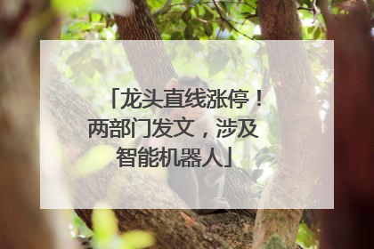 龙头直线涨停！两部门发文，涉及智能机器人