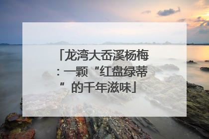 龙湾大岙溪杨梅：一颗“红盘绿蒂”的千年滋味