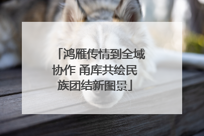 鸿雁传情到全域协作 甬库共绘民族团结新图景
