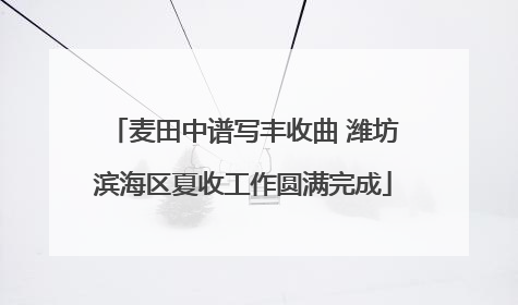 麦田中谱写丰收曲 潍坊滨海区夏收工作圆满完成