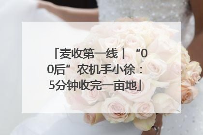 麦收第一线丨“00后”农机手小徐：5分钟收完一亩地