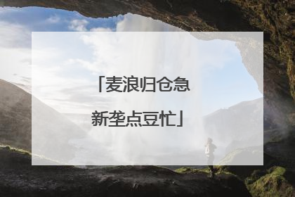 麦浪归仓急 新垄点豆忙