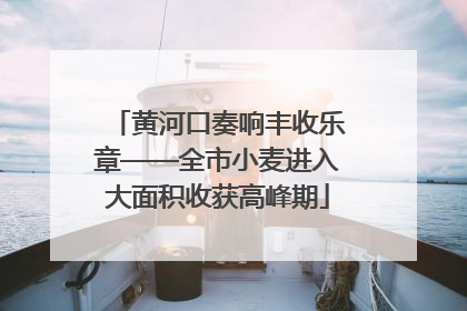黄河口奏响丰收乐章——全市小麦进入大面积收获高峰期