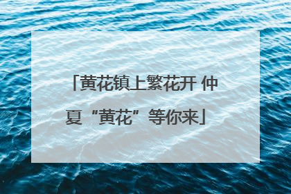 黄花镇上繁花开 仲夏“黄花”等你来