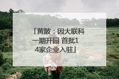 黄陂：因大联科一期开园 首批14家企业入驻