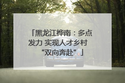 黑龙江桦南：多点发力 实现人才乡村“双向奔赴”