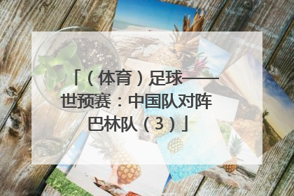 （体育）足球——世预赛：中国队对阵巴林队（3）