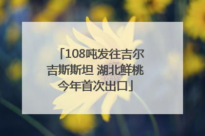 108吨发往吉尔吉斯斯坦 湖北鲜桃今年首次出口