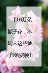 10万朵栀子花，本周末这些地方免费领