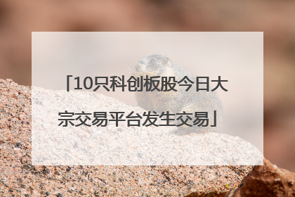 10只科创板股今日大宗交易平台发生交易