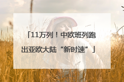 11万列！中欧班列跑出亚欧大陆“新时速”