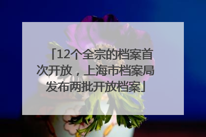 12个全宗的档案首次开放，上海市档案局发布两批开放档案