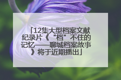 12集大型档案文献纪录片《“档”不住的记忆——聊城档案故事》将于近期播出