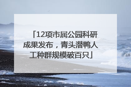 12项市属公园科研成果发布，青头潜鸭人工种群规模破百只