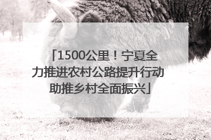 1500公里！宁夏全力推进农村公路提升行动 助推乡村全面振兴