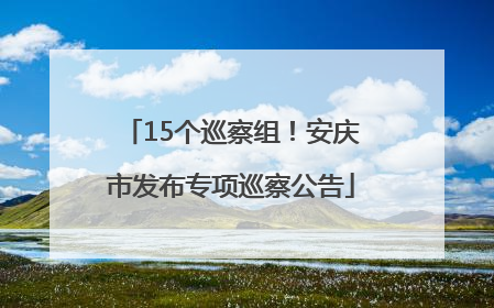15个巡察组！安庆市发布专项巡察公告