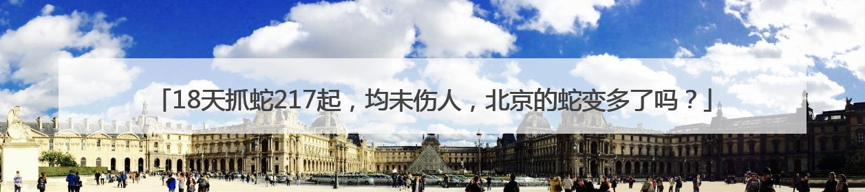 18天抓蛇217起，均未伤人，北京的蛇变多了吗？