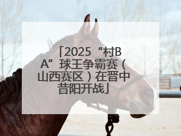 2025“村BA”球王争霸赛（山西赛区）在晋中昔阳开战