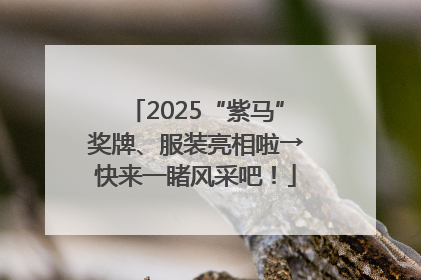 2025“紫马”奖牌、服装亮相啦→快来一睹风采吧！