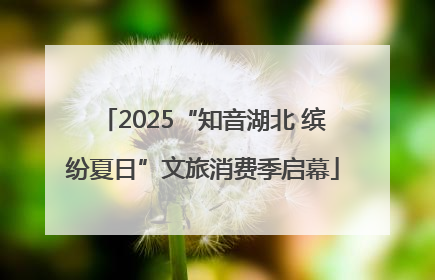 2025“知音湖北 缤纷夏日”文旅消费季启幕