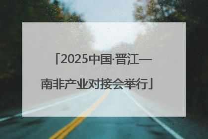 2025中国·晋江—南非产业对接会举行