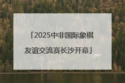 2025中非国际象棋友谊交流赛长沙开幕