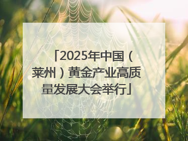 2025年中国（莱州）黄金产业高质量发展大会举行