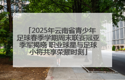 2025年云南省青少年足球春季学期周末联赛冠亚季军揭晓 职业球星与足球小将共享荣耀时刻