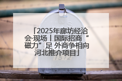 2025年廊坊经洽会·现场丨国际招商“磁力”足 外商争相向河北推介项目
