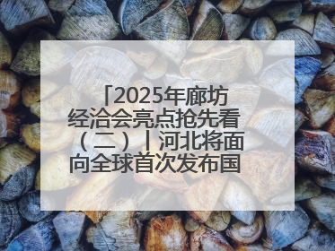 2025年廊坊经洽会亮点抢先看（二）丨河北将面向全球首次发布国际化招商地图