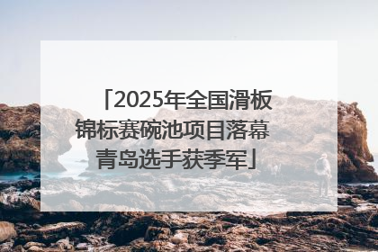 2025年全国滑板锦标赛碗池项目落幕 青岛选手获季军