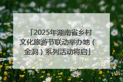 2025年湖南省乡村文化旅游节联动举办地（金洞）系列活动将启