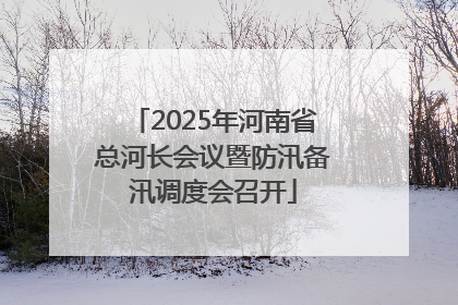 2025年河南省总河长会议暨防汛备汛调度会召开