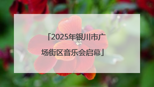 2025年银川市广场街区音乐会启幕