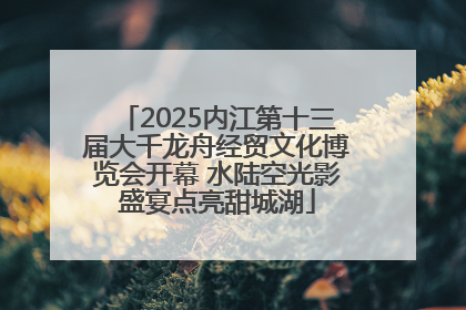 2025内江第十三届大千龙舟经贸文化博览会开幕 水陆空光影盛宴点亮甜城湖