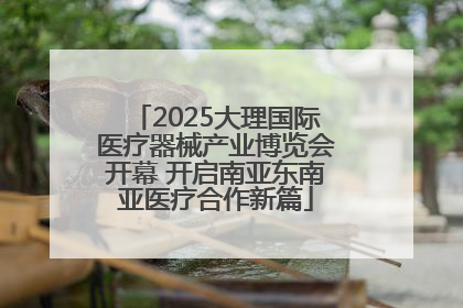 2025大理国际医疗器械产业博览会开幕 开启南亚东南亚医疗合作新篇