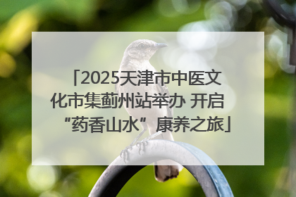 2025天津市中医文化市集蓟州站举办 开启“药香山水”康养之旅