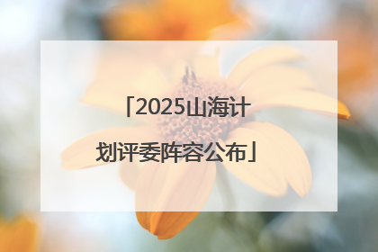 2025山海计划评委阵容公布