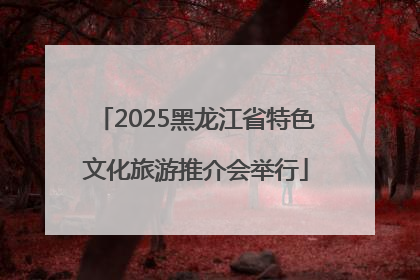 2025黑龙江省特色文化旅游推介会举行