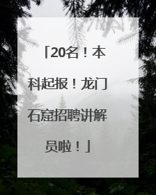 20名！本科起报！龙门石窟招聘讲解员啦！