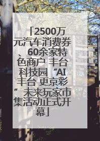 2500万元汽车消费券、60余家特色商户 丰台科技园“AI丰台 更京彩”未来玩家市集活动正式开幕