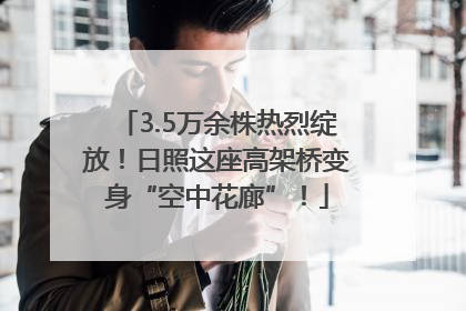 3.5万余株热烈绽放！日照这座高架桥变身“空中花廊”！