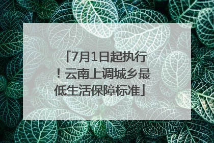 7月1日起执行！云南上调城乡最低生活保障标准