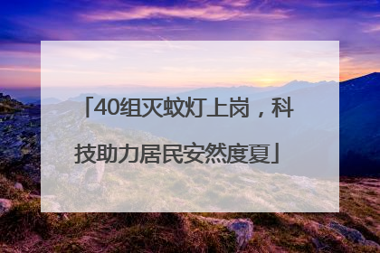 40组灭蚊灯上岗，科技助力居民安然度夏