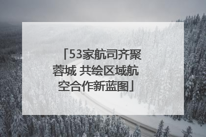 53家航司齐聚蓉城 共绘区域航空合作新蓝图