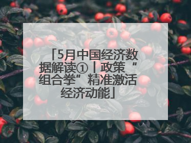 5月中国经济数据解读①丨政策“组合拳”精准激活经济动能